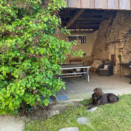 Nature En Bord De Dordogne Entre Sarlat Et Rocamadour *